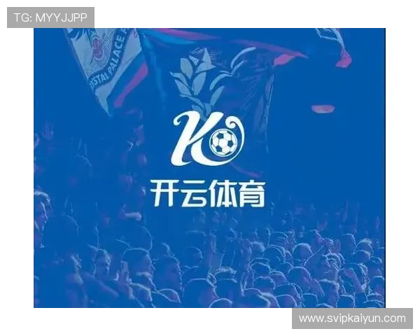 揭秘开云体育网址中的常见陷阱与安全防护技巧，保障用户权益