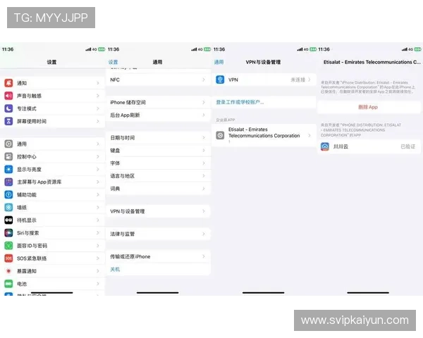 苹果用户如何快速找到开云官方下载入口，详细步骤与注意事项